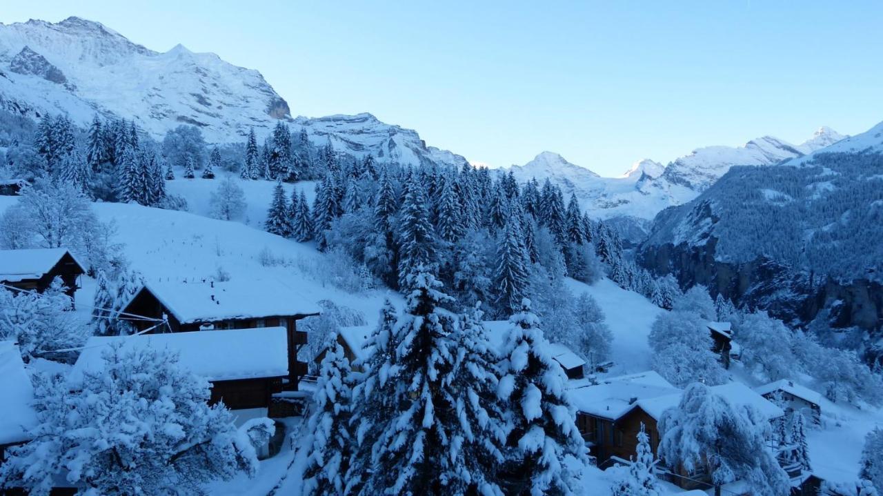 Chalet Eigersunne 2 Wengen Eksteriør billede